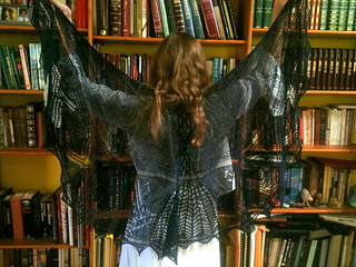 Rag_wings_up_small2