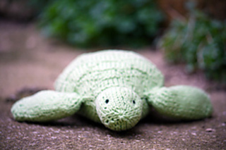 Img_5053_small2