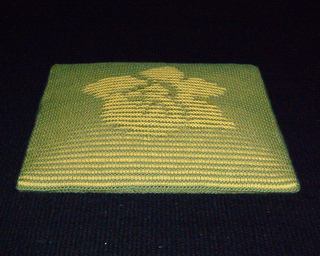 Flat_-_daffodil_edited_small2