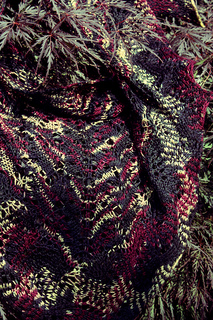 Img_5603_copy_small2