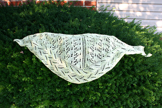 Img_5635_copy_small2