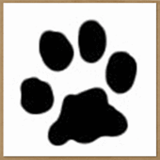Cattx2_small2