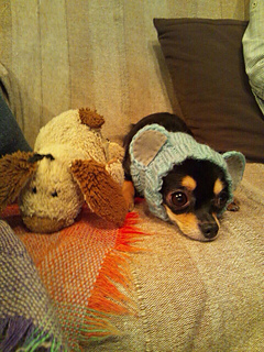 Image_small2