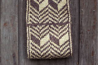 Malvolio_s_cowl_4_small2