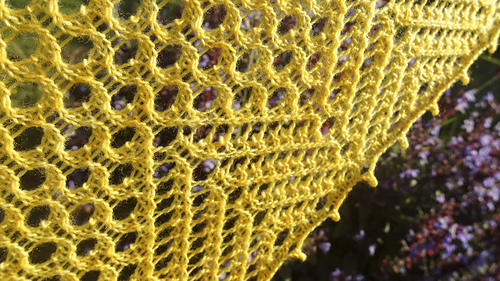 Liquid-honey-107_medium