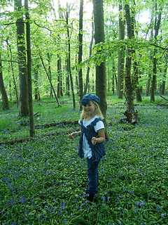 Beth_distance_front_shot_small2