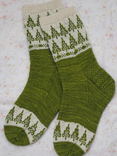 Pc240042_small2