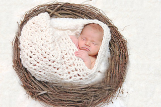 Dakota_cocoon_2_small2