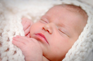 Dakota_cocoon_3_small2