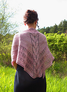 Silverleaf_back_small2