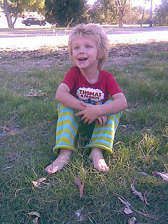 Efielonglegs2_small2
