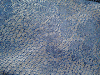 Blue_rose7_small2