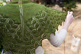 20100822-dsc_5656_small2