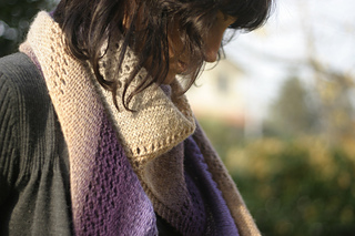 Img_2776_small2