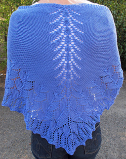 Shawl-back_small2