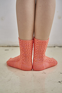 Lo_res_coopey_2395_for_sock_small2