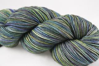 Abalone_small2