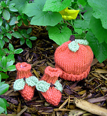 Pumpkinseta_small