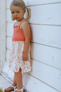 Img_5010rav_small2
