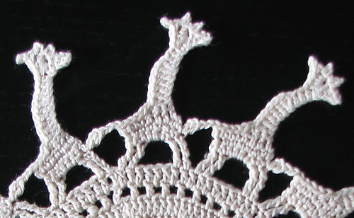 Img_3643border_detail_medium