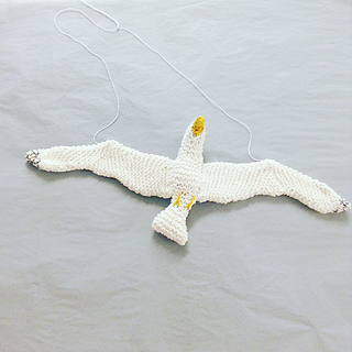 Gull6_small2