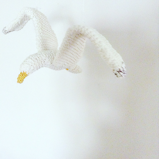 Gull4_small2
