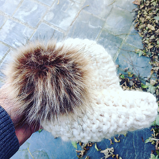 Acorn12_small2