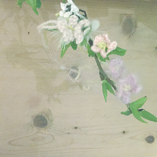 Bloss9_small2