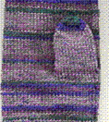 2353089315_a3f6ce9c76_z_small