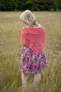 Summer_rose_3_small2