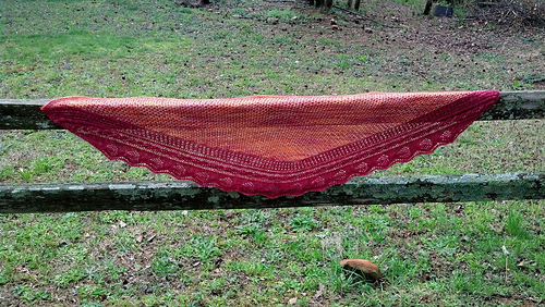 Orange_wingspan_medium
