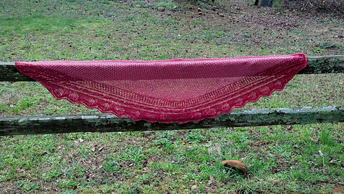Pink_wingspan_medium