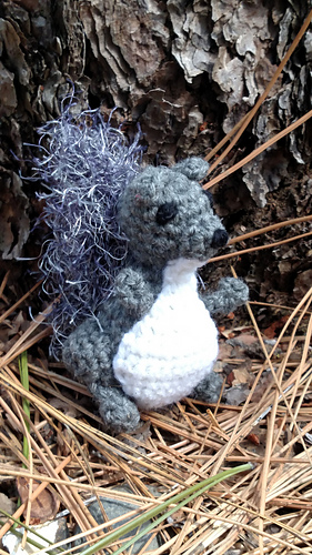 Squirrel_medium
