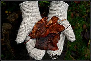 Dsc_1128_small2
