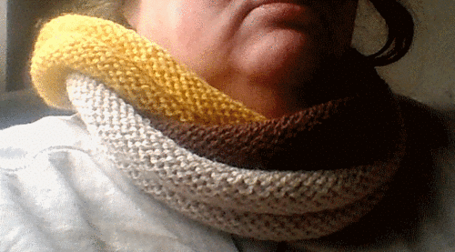 3ringcowl_medium