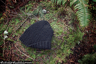 Abullick_dsc2357_small2