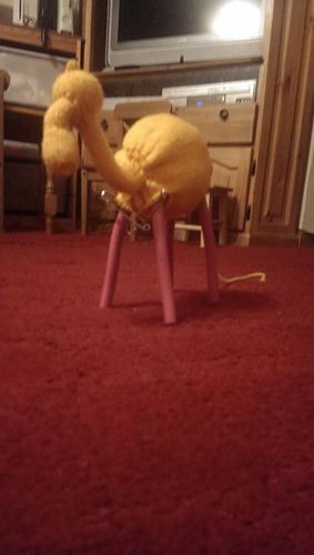 Imag0762_medium