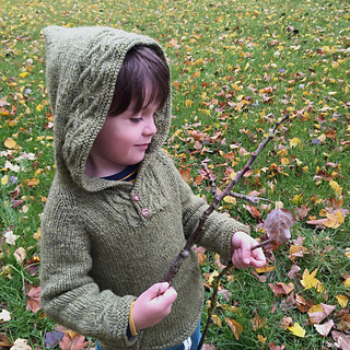 Robinhoodie1_sm_small2