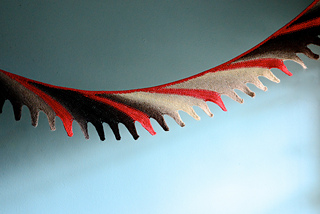 Plumage_small2