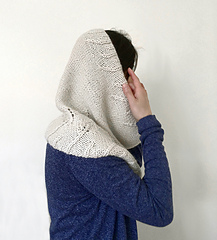 Hood2_small