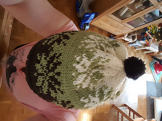 20161217_131154_small2