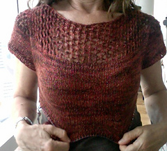 Brownmesh_small