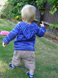 Little_hoodlum_small2