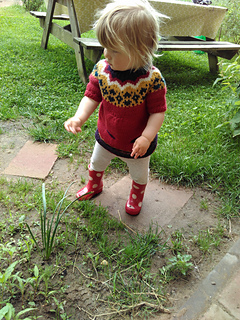 Img_20160601_102335_small2