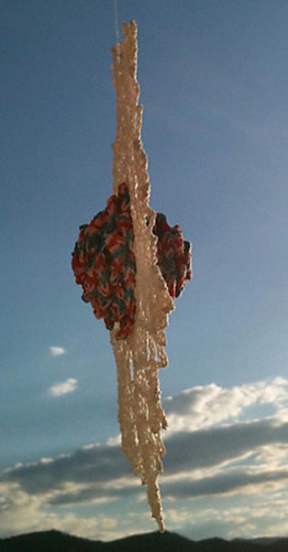 Ca06301220404567-m_medium