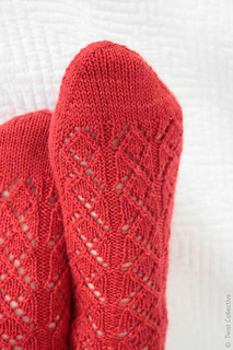 Amaranth_a_500_small2