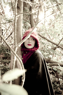 Through_the_woods_1_small2