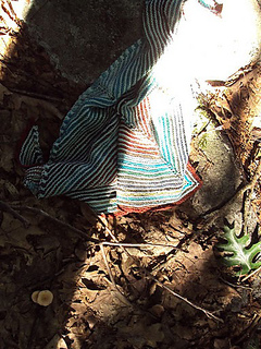 Dsc03495_small2