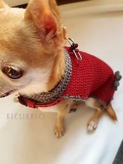 20170226_124113_small2