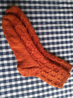 Photo_small2